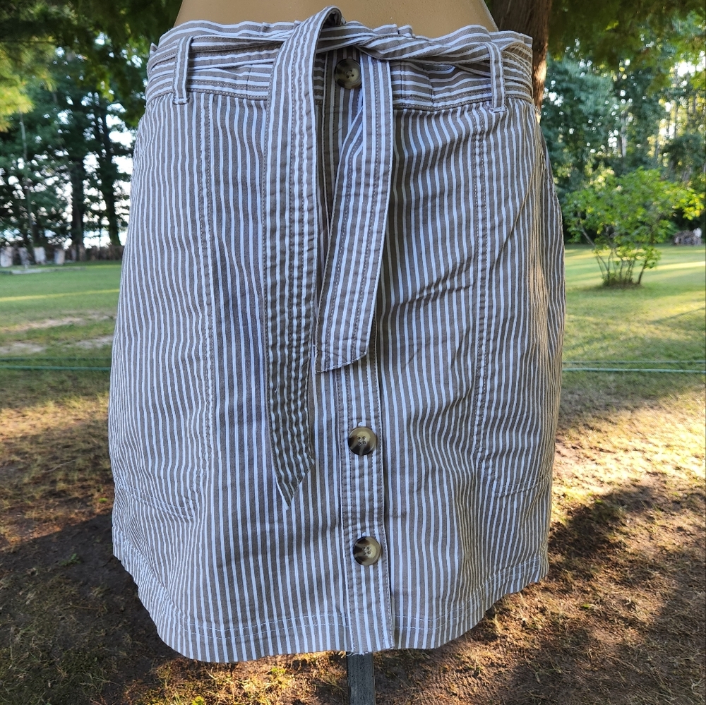 Abercrombie and Fitch skirt